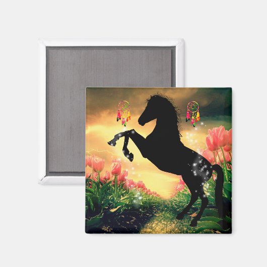 Drocatcher Magneet (Voorkant / Achterkant)