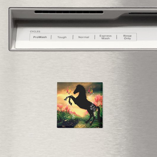 Drocatcher Magneet (Insitu (Vaatwasser))