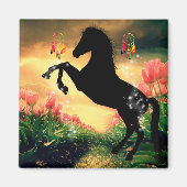 Drocatcher Magneet (Voorkant)