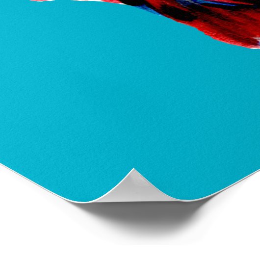 Drocatcher Poster (Hoek)