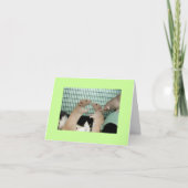 droevig kaart (Voorkant)