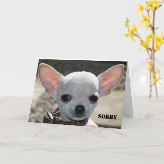 DROEVIG KAART (Gele Bloem)