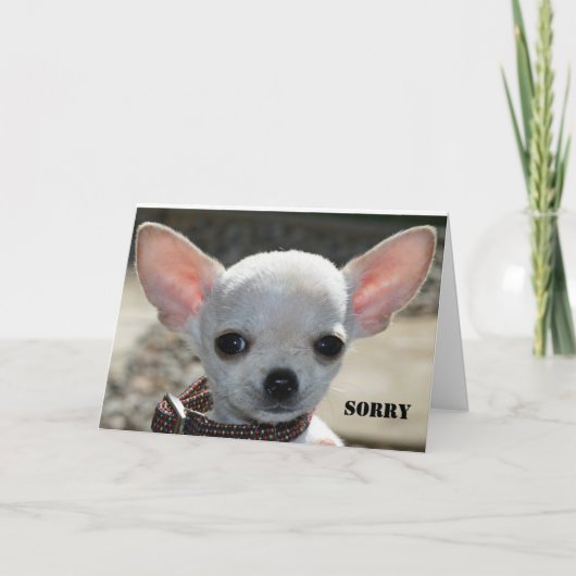 DROEVIG KAART (Voorkant)