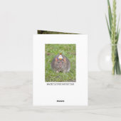 Droevig te laat gemiste verjaardag - ratten kaart (Achterkant)