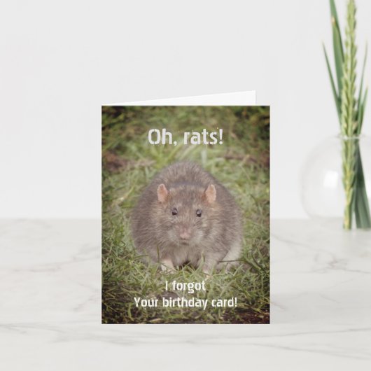 Droevig te laat gemiste verjaardag - ratten kaart (Voorkant)