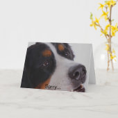 Droevig, verloor u uw huisdier kaart (Gele Bloem)