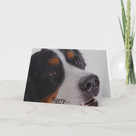 Droevig, verloor u uw huisdier kaart (Voorkant)