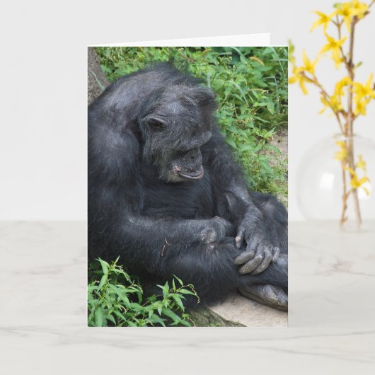 droevige chimpansee Miss U Kaart (Gele Bloem)