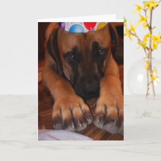 Droevige Engelse Mastiff die het Pet van de Partij Kaart (Gele Bloem)