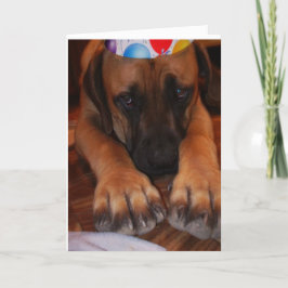 Droevige Engelse Mastiff die het Pet van de Partij Kaart