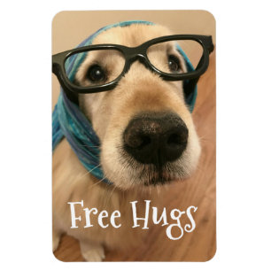 Droevige Gouden Retriever Hond Met Bril Gratis Knu Magneet