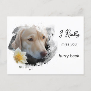*~ Droevige Hond AP61 Bloem Miss U Haast Briefkaart