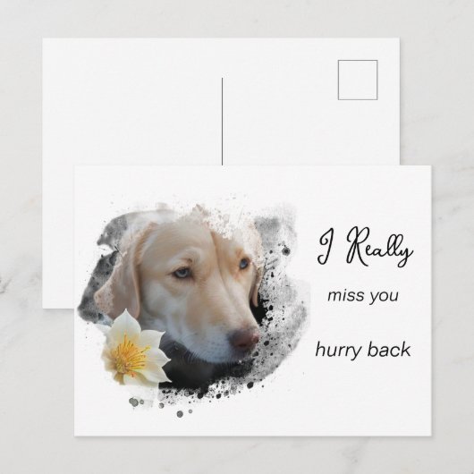 *~ Droevige Hond AP61 Bloem Miss U Haast Briefkaart (Voorkant / Achterkant)
