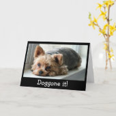 Droevige Jong Late Verjaardag Yorkie Kaart (Gele Bloem)