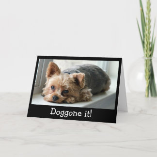 Droevige Jong Late Verjaardag Yorkie Kaart