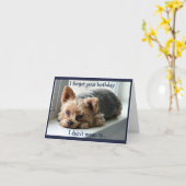 Droevige Yorkie Late Verjaardag Kaart (Gele Bloem)