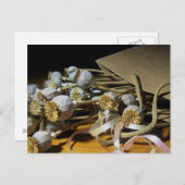 Droge blaaspotigen briefkaart (Voorkant / Achterkant)