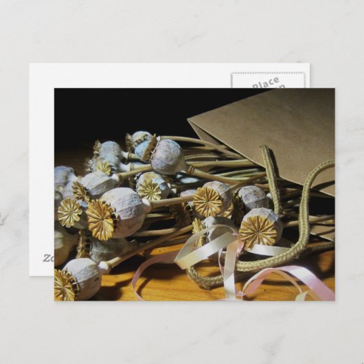 Droge blaaspotigen briefkaart (Voorkant / Achterkant)