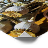 Droge blaaspotigen poster (Hoek)