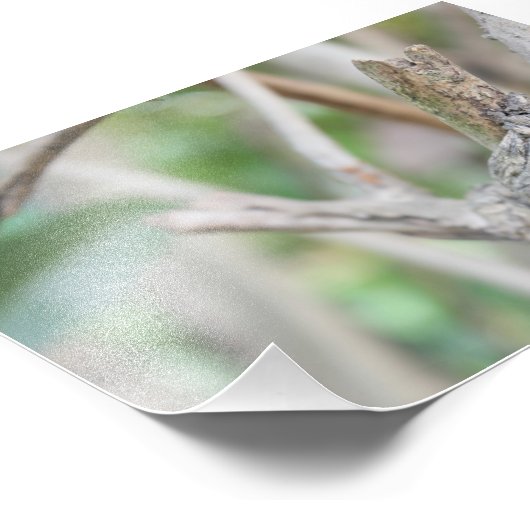 Droge Bossen Foto Afdruk (Hoek)