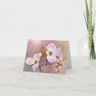 Droge Dogwood Blossom Alle Occasion Note Cards Kaart