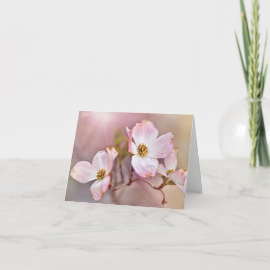 Droge Dogwood Blossom Alle Occasion Note Cards Kaart (Voorkant)