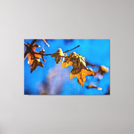 Droge eikenbladeren - Lente is niet ver weg Canvas Afdruk