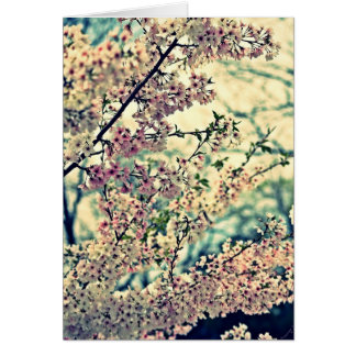 Droge explosie (blanco binnenzijde)