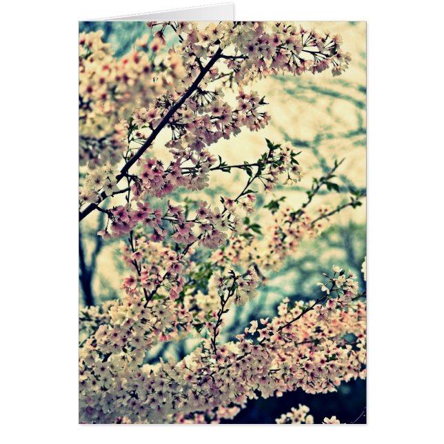 Droge explosie (blanco binnenzijde) (Voorkant)