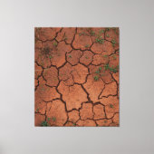 Droge, gebarsten grond canvas afdruk (Voorkant)