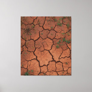 Droge, gebarsten grond canvas afdruk