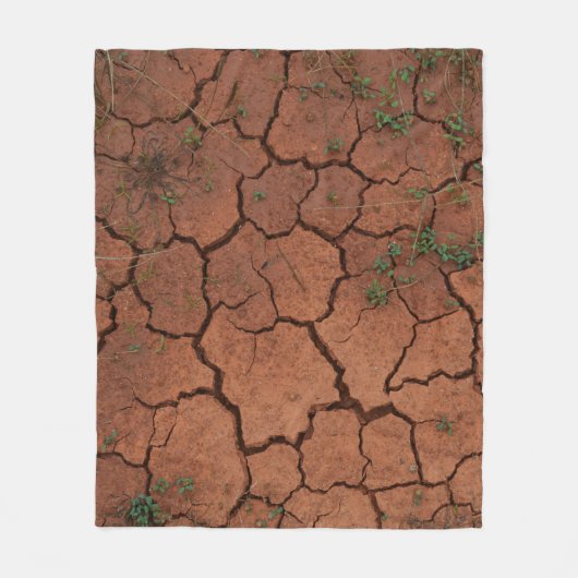 Droge, gebarsten grond fleece deken (Voorkant)