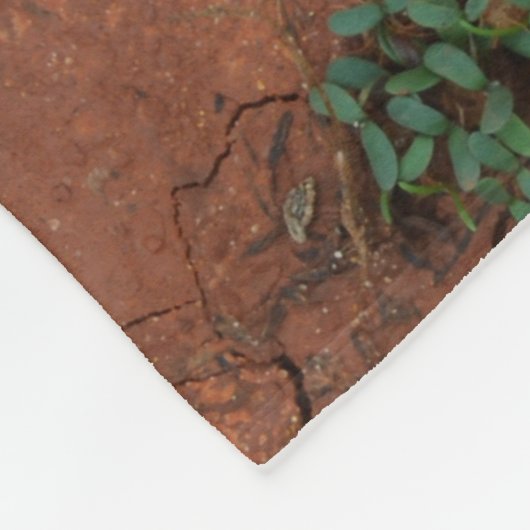 Droge, gebarsten grond fleece deken (Hoek)