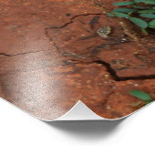 Droge, gebarsten grond foto afdruk (Hoek)