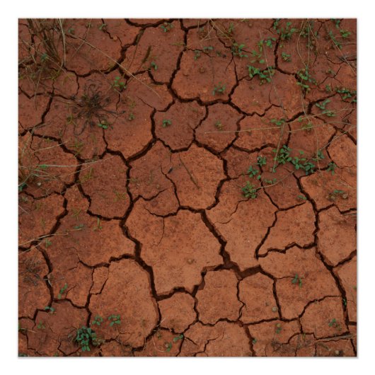 Droge, gebarsten grond perfect poster (Voorkant)
