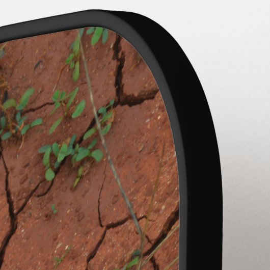 Droge, gebarsten grond pickleball paddle (Links Detail)