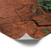 Droge, gebarsten grond poster (Hoek)