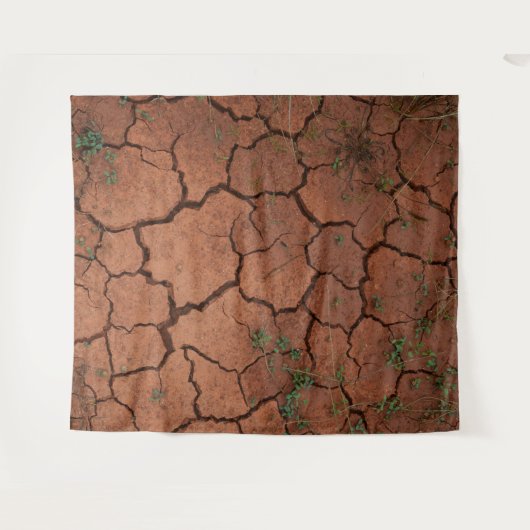 Droge, gebarsten grond wandkleed (Voorkant (horizontaal))