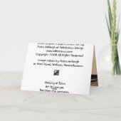 Droge Grassen Kaart (Achterkant)