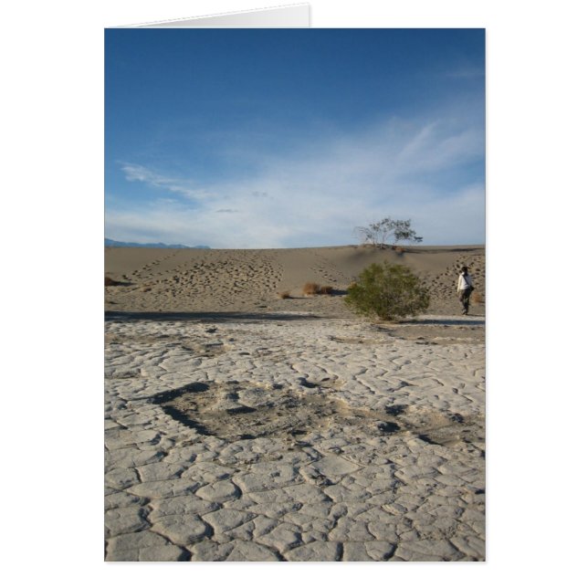 Droge gronden (Voorkant)