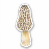 Droge landvis, Morel Mushroom sticker (Voorkant)