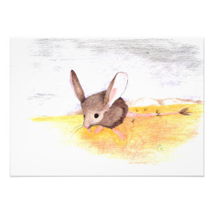 Droge muis foto afdruk