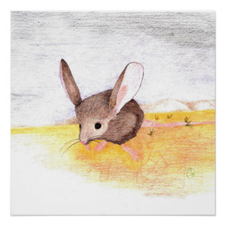 Droge muis perfect poster