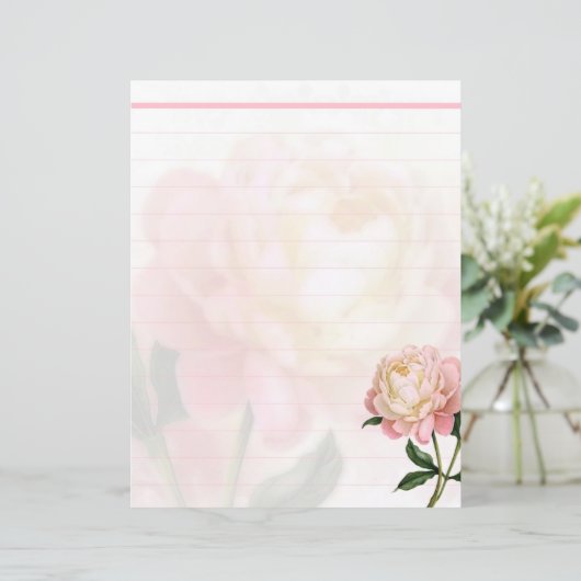 Droge roze roze roos (Staand voorkant)