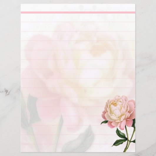 Droge roze roze roos (Voorkant)