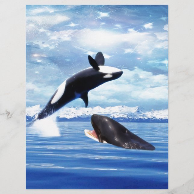 Droge walvissen in plezier en spelen (Voorkant)