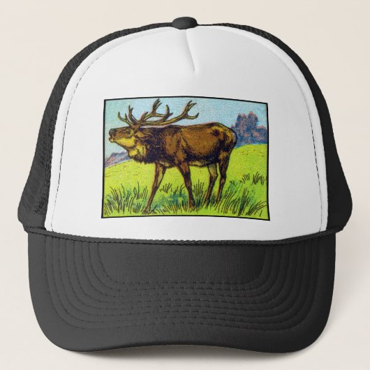 droger afdrukken trucker pet (Voorkant)