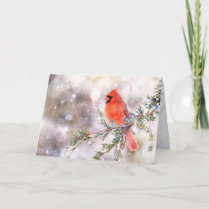 Droger, rood kardinaal 5 x 7 inch gevouwen Wenskaa Kaart