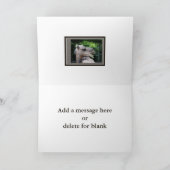 dromedaris kameel kaart (Binnen)