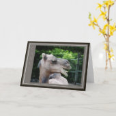 dromedaris kameel kaart (Gele Bloem)